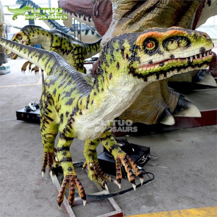 Movie Prop Velociraptor (4)_