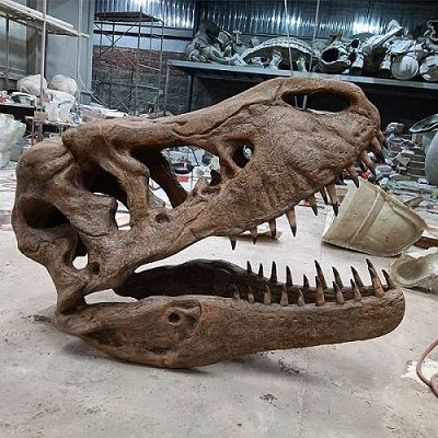 T{0}}rex Skull